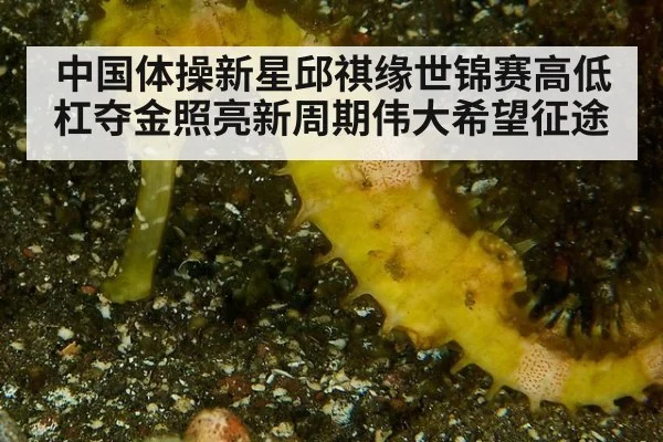 中国体操新星邱祺缘世锦赛高低杠夺金照亮新周期伟大希望征途